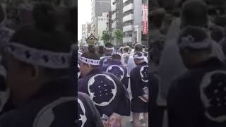 三社祭 練り歩き 迫力 丸金 西浅三北 東京浅草三社祭 神輿 2019 Sanja Matsuri Festival Asakusa Tokyo shorts [upl. by Medrek765]