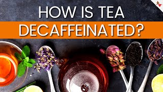 How Is Tea Decaffeinated  Which Teas Are Naturally Decaffeinated [upl. by Nemra]