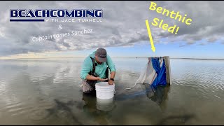 Beachcombing  Benthic Sled [upl. by Cleo704]