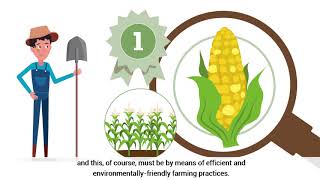 Penergetic Crop Production Overview [upl. by Friedrick]