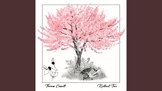 Redbud Tree [upl. by Engdahl]