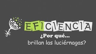 ¿POR QUÉ BRILLAN LAS LUCIÉRNAGAS Cortejo y Bioluminiscencia Luciferina [upl. by Dubenko]