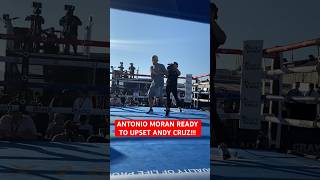 ANTONIO MORAN READY TO UPSET ANDY CRUZ [upl. by Ramgad86]