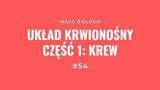 Układ krwionośny Krew [upl. by Hoxie]