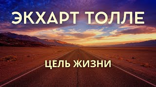 Экхарт Толле  ЦЕЛЬ ЖИЗНИ Лекции 05 Nikosho [upl. by Muriel361]