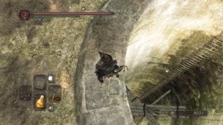 DARK SOULS™ II gilligan went down the wrong ladder [upl. by Noyad]