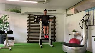 Knees to chest on bars  core stability [upl. by Rede679]