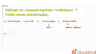 What is mixotrophic nutrition  Cite one example  11  BIOLOGICAL CLASSIFICATION  BIOLOGY  P [upl. by Nnayt]