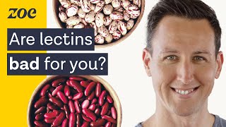 The surprising truth about lectins  Dr Will Bulsiewicz [upl. by Gellman986]