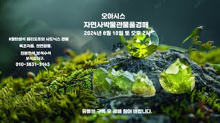 오아시스자연사박물관물품경매2024년 8월 10일토오후2시8월탄생석페리도트올리빈감람석사도닉스루비에메랄드비취옥조각품천연광물골동품경매8월탄생석 [upl. by Leinoto181]