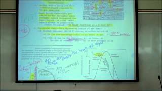 CARDIAC PHYSIOLOGY PART 2 by Professor Finkwmv [upl. by Rolyks677]