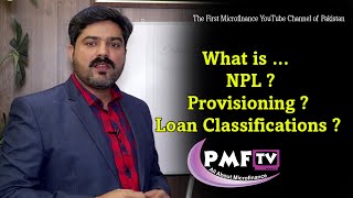 Non Performing Loans Loan Losses Provision Loan Classifications [upl. by Adil]