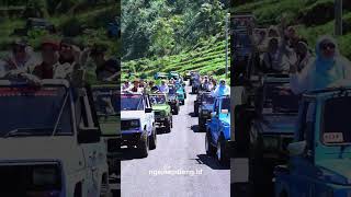 Jeep Wisata Dieng Rombongan RSUD dr Chasbullah Abdulmadjid Bekasi  ngejeepdieng id [upl. by Surtimed386]