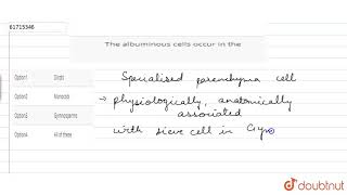 The albuminous cells occur in the [upl. by Asina]