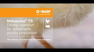 Natupulse® TS  Driving digestion with diverse modes of action [upl. by Matheny739]