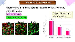 Molecular Basis of Sida cordifolia L Induced Apoptosis in Melanoma Cell Line [upl. by Jefferson]