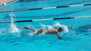 Freestyle Swim and Breathing for Triathletes [upl. by Seidule]