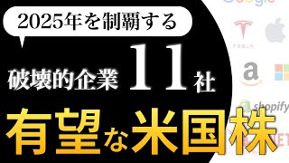 【米国株投資】2025年を制覇する破壊的企業 11社【企業分析】 [upl. by Ranee]