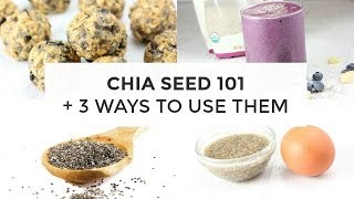 Chia Seed 101  3 Ways To Use Chia Seeds [upl. by Oahc757]