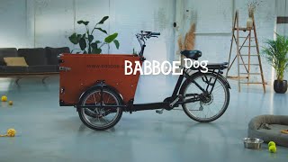 Babboe Dog  Hundetransport mit dem Lastenfahrrad [upl. by Nolasba960]