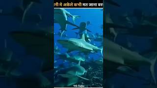 Pani ke andar Mili bahut sare khatarnak shark 😱😱😮😱😮😮😯😱😱😱 [upl. by Nahseez]