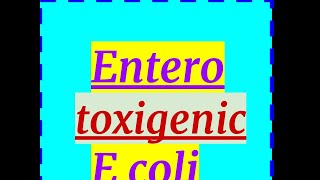 Enterotoxigenic E coli Travelers Diarrhea [upl. by Nadabb]