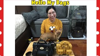 hello my bag 2021 รีวิว mulberry mini roxanne vs mulberry mini alexa [upl. by Eirollam434]