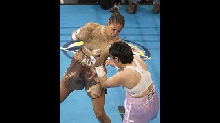 Laila Ali Vs Mary Ann Almager Highlights  IBA WIBA WIBF Titles [upl. by Annail]