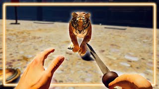 Taking On Tigers With No Formal Training  Gladius VR [upl. by Zysk]