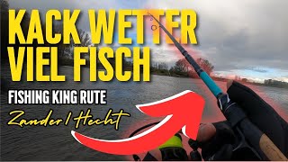 Ich TESTE die FISHING KING Zander Hecht Rute  Krankes Wetter und VIEL Fisch [upl. by Frost503]