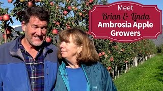 Organic Ambrosia Apple Growers Brian Mennell amp Linda Edwards [upl. by Dihgirb]