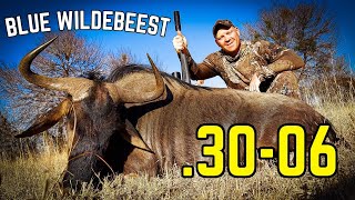 3006 vs Wildebeest DROPPED with Perfect Shot Placement  Big Game Hunting Adventures [upl. by Deenya882]