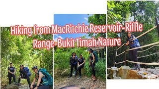 Hiking from MacRitchie ReservoirRiffle RangeBukit Timah Nature Park hikerlife ofwsingapore [upl. by Whit435]