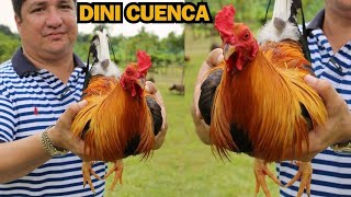 Dini Cuenca Farm  Best Big Farm Philippines 💯🇵🇭 [upl. by Heiney]