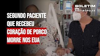 Segundo paciente que recebeu coração de porco morre nos EUA [upl. by Juley517]