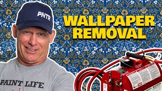 Wallpaper amp Paper Border Removal With A Wall Paper Steamer [upl. by Nnylecyoj701]