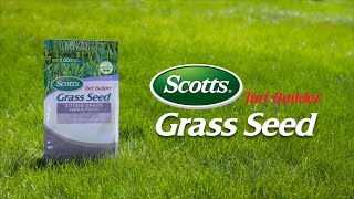 How to Use Scotts® Turf Builder® Grass Seed [upl. by Alikee537]