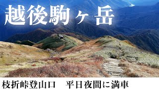 越後駒ヶ岳 枝折峠登山口 20241023 [upl. by Milone]