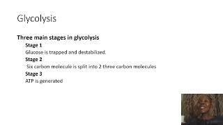 Biochemistry SimplifiedGlycolysis [upl. by Asilenna179]