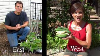 Growing Cucumbers Starting Planting Feeding Trellising amp Harvesting  Gardening Coast2Coast3 [upl. by Atinuj]