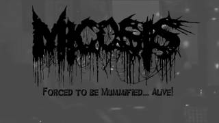 Micosis  Forced to be Mummified Alive Live at Reanimated Deathgrind [upl. by Ezar]