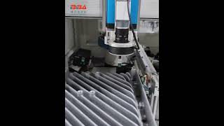 Double Yaxis automatic screw locking machineHow much does an automatic screw locking machine cost [upl. by Acyssej]