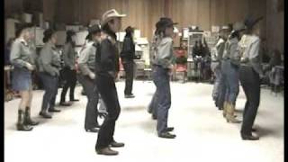 Country Line Dance  Copperhead Road  Steve Earl [upl. by Riha]