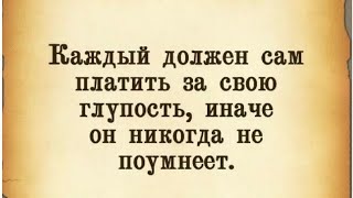 ✅Каждый должен сам платить за свою глупость…121224 [upl. by Massey]