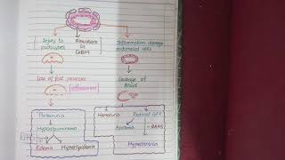 Nephrotic and Nephritic Syndrome [upl. by Artcele]