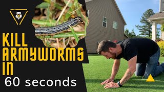 Kill Army Worms in 60 Seconds [upl. by Arualana]