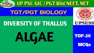 ALGAE MORPHOLOGY SHAPE STRUCTURE [upl. by Alrats470]