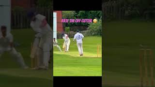 offcutter cricketshorts cricket cricketlover cricketenthusiast cricketnews cricketlovers [upl. by Winchester]