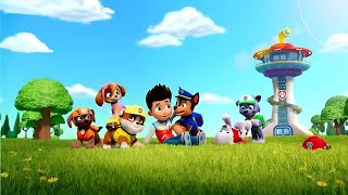 paw patrol episode 3 whole patrol team together  CARTOON GAMER [upl. by Nivar515]