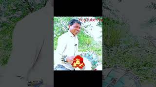 Loafer Loafer Jim Karen Lal Vahi Jhabua Balam Bhole chatting Kauwa YouTube short YouTube funny [upl. by Rexfourd187]